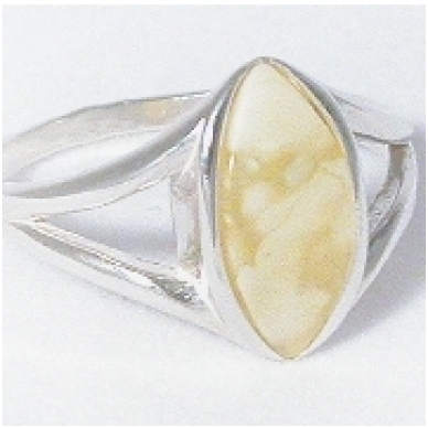 Baltic amber and silver ring Baltic amber and silver ring