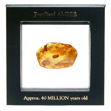Amber stone in a gift box. Amber stone in a gift box.