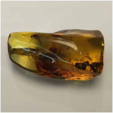 Amber with an inclusion