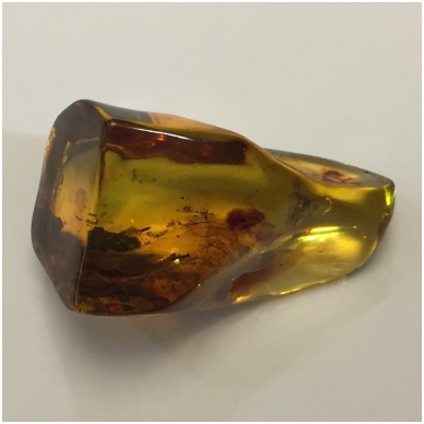 Amber with an inclusion 3