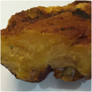 Amber nugget 4