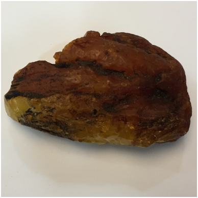 Amber nugget