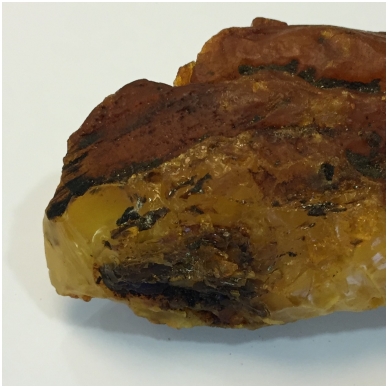 Amber nugget 2