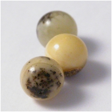 Baltic amber beads