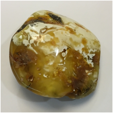 Polished Baltic amber stone 2