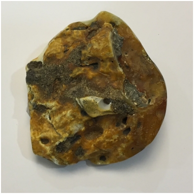 Polished Baltic amber stone 3