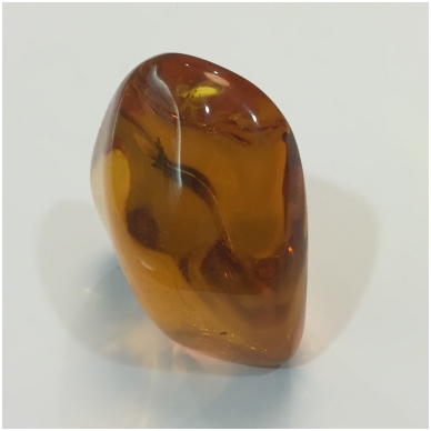 Polished Baltic amber piece
