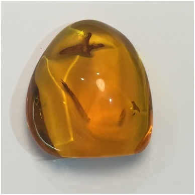 Polished Baltic amber piece 2