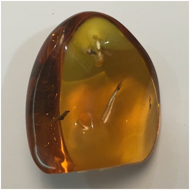 Polished Baltic amber piece 3