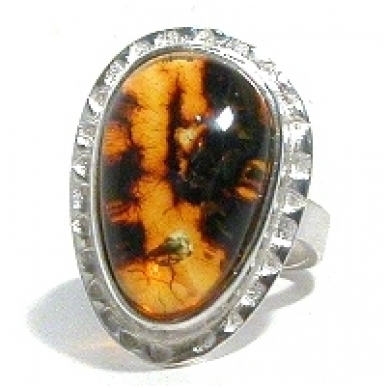 Amber and silver ring 2